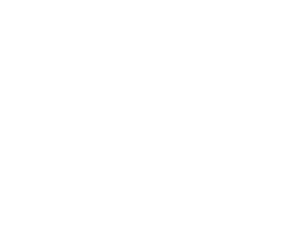 Внутренний код — изображение проекта 60